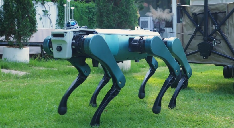 Six-legged robot dog walking on a lawn at an outdoor venue