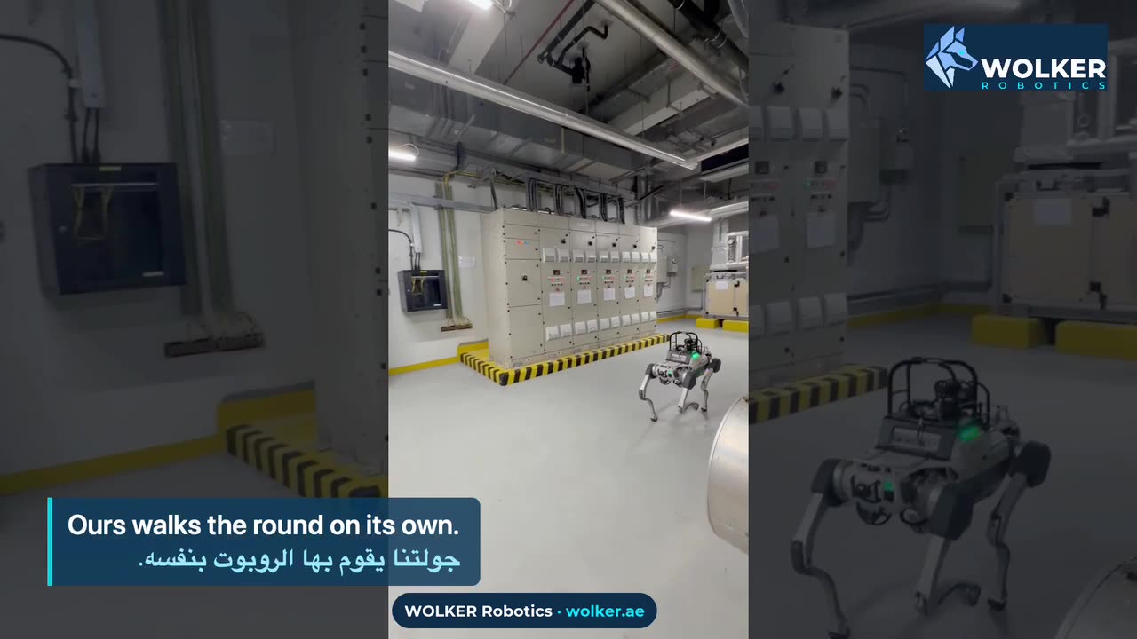 WOLKER robot inspection video