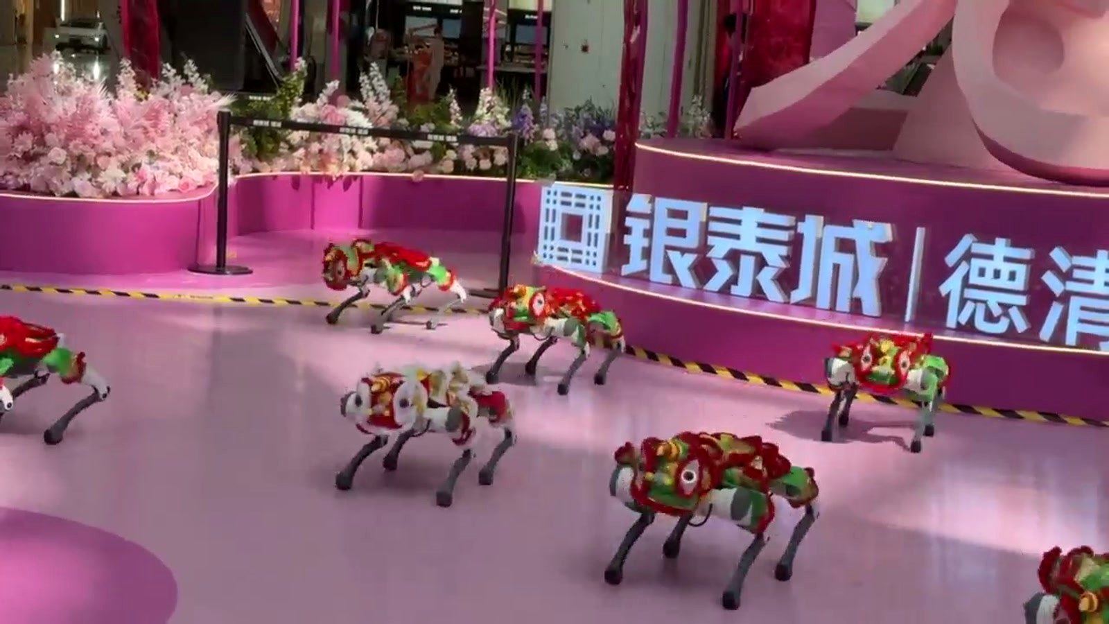 Robot show at a shopping mall celebration
